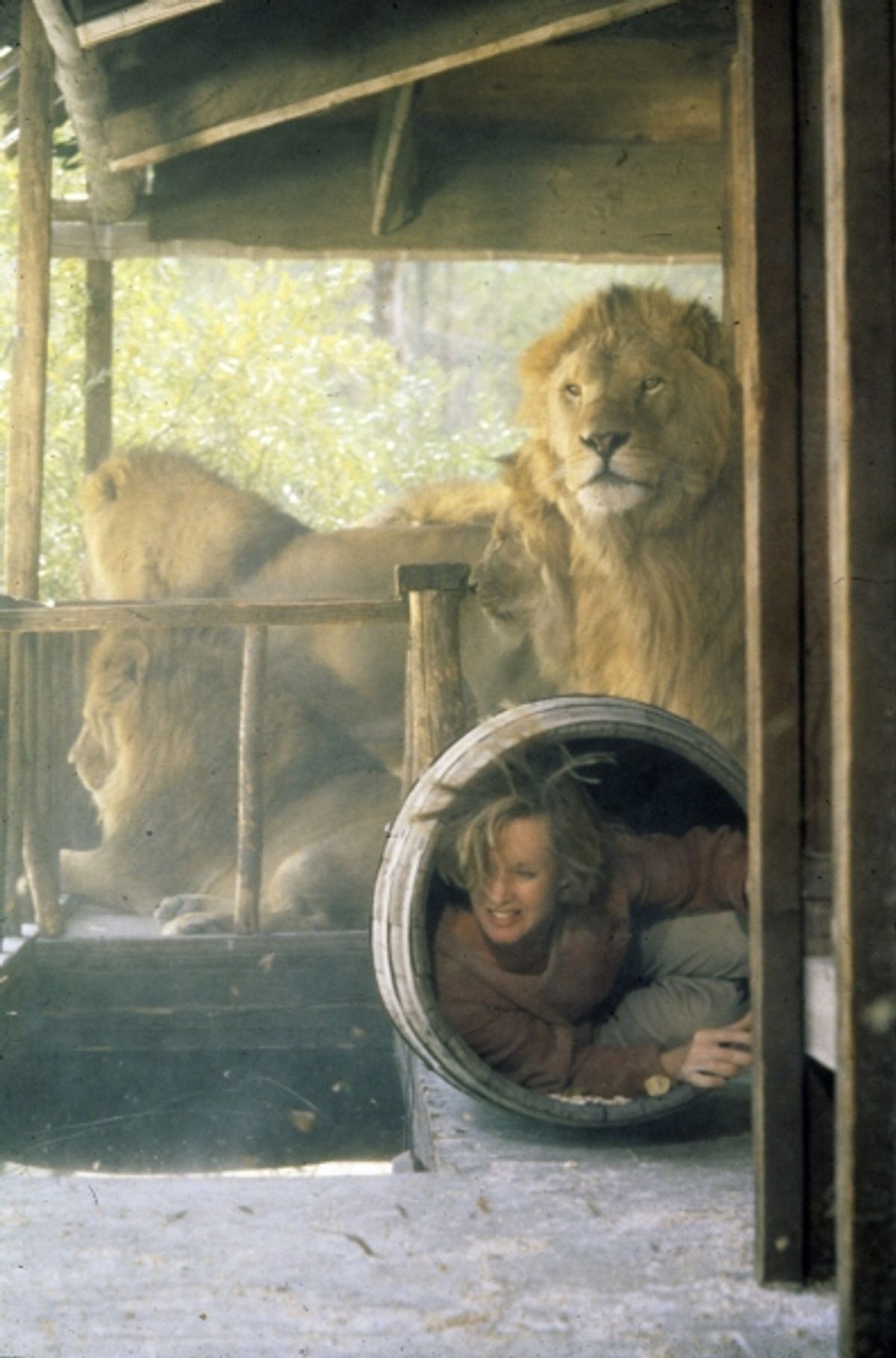 Tippi Hedren on the set of the film 'ROAR' at 