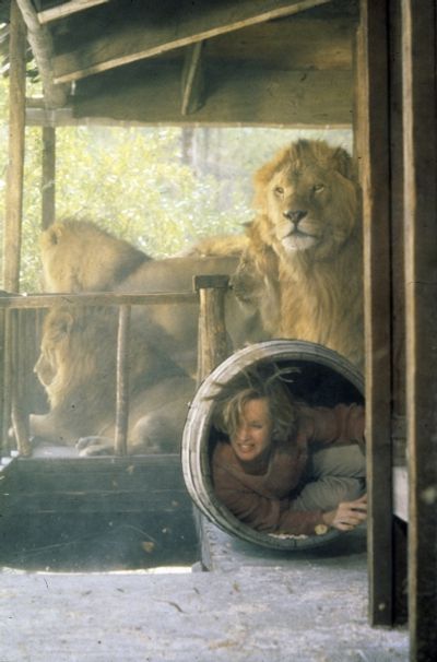 Tippi Hedren on the set of the film "ROAR" Photo