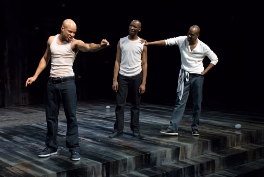 Photo Flash: Steppenwolf Presents THE BROTHER/SISTER PLAYS Image