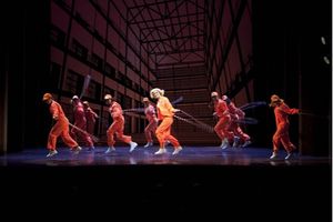 Aoife Mulholland and the Cast of LEGALLY BLONDE @ BroadwayWorld Aoife Mulholland and the Cast of LEGALLY BLONDE Photo