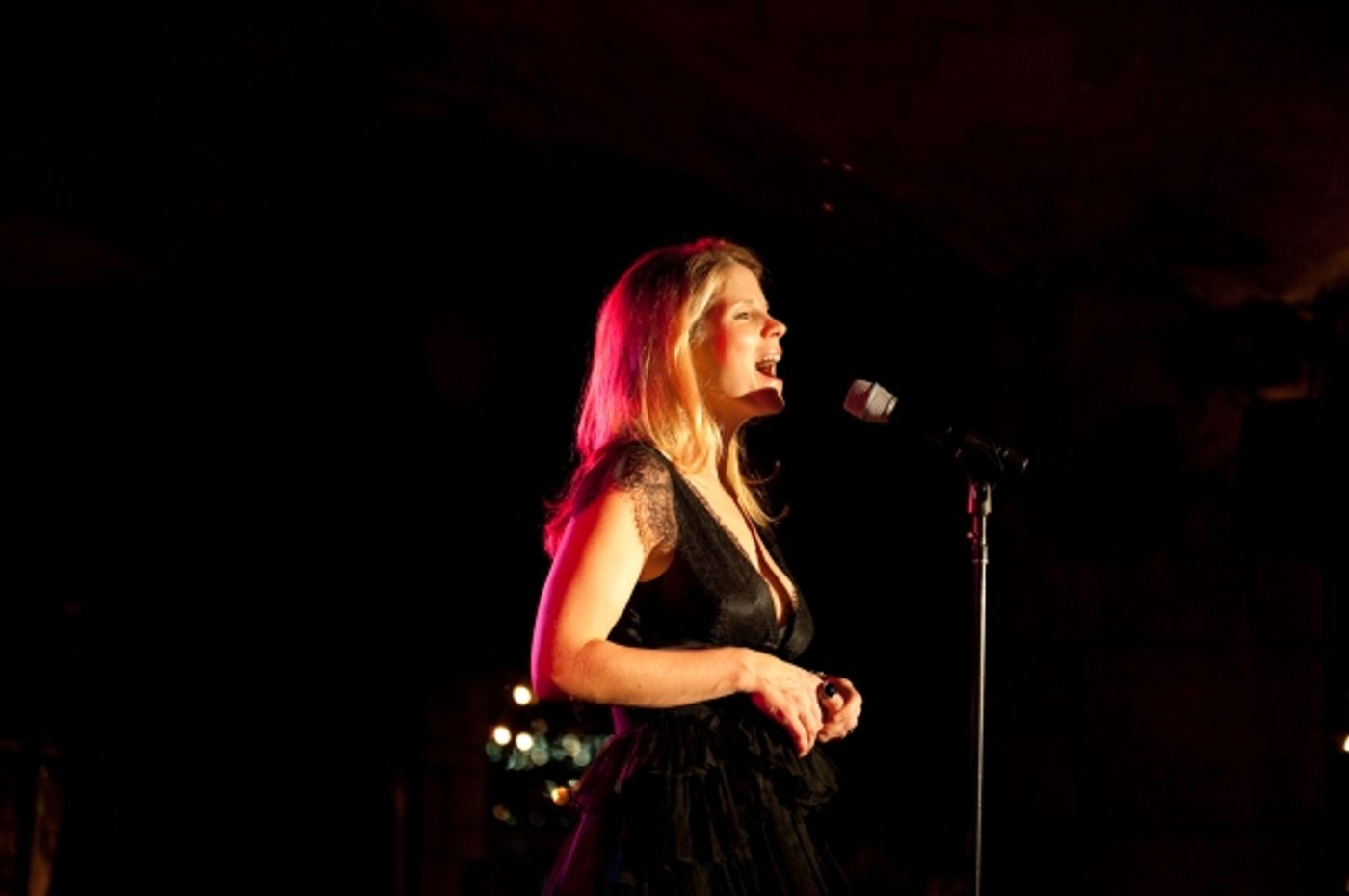 Photo Flash: Kelli O'Hara Sings At Riverside Park Fund's Broadway At The Boat Basin  Image