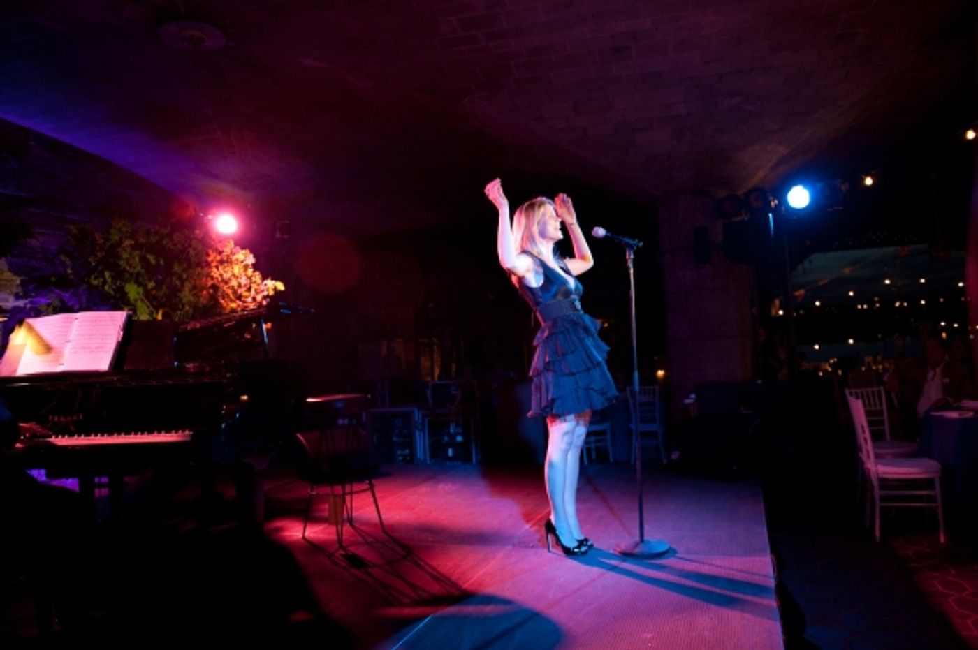 Photo Flash: Kelli O'Hara Sings At Riverside Park Fund's Broadway At The Boat Basin  Image
