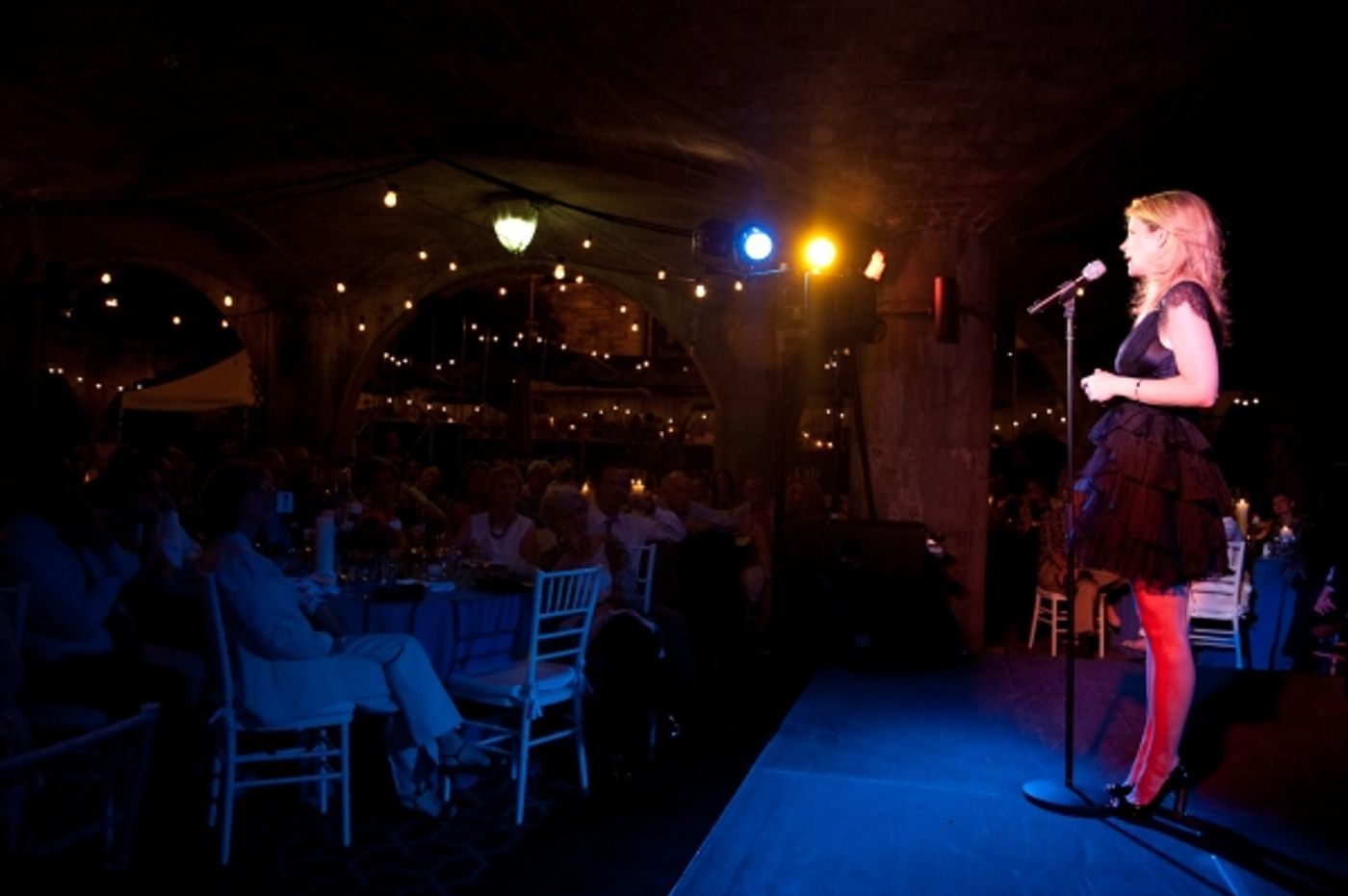 Photo Flash: Kelli O'Hara Sings At Riverside Park Fund's Broadway At The Boat Basin  Image