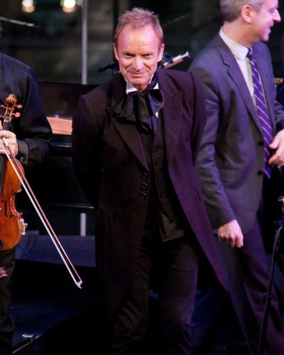 Sting Photo