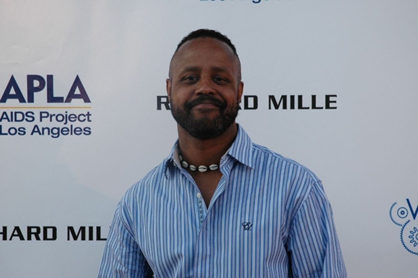 Photo Coverage: APLA Raises $235K with Art Auction  Image