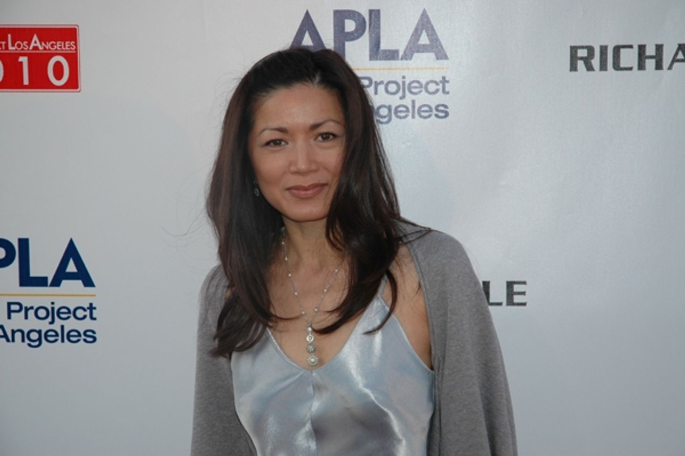 Photo Coverage: APLA Raises $235K with Art Auction  Image