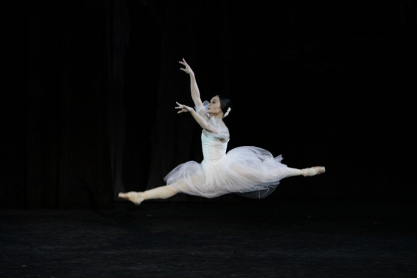 Photo Flash: Ballet Manila Presents GISELLE Photo Flash: Ballet Manila Presents GISELLE Image