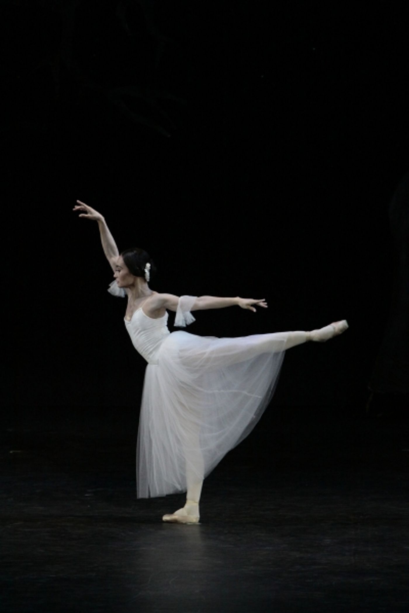 Photo Flash: Ballet Manila Presents GISELLE  Image