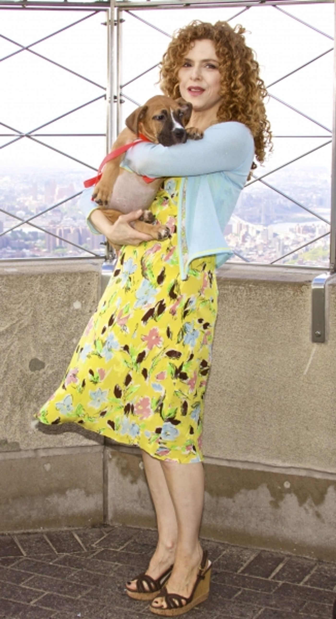 Photo Coverage: Peters Promotes Broadway Barks Adopt-A-Thon  Image