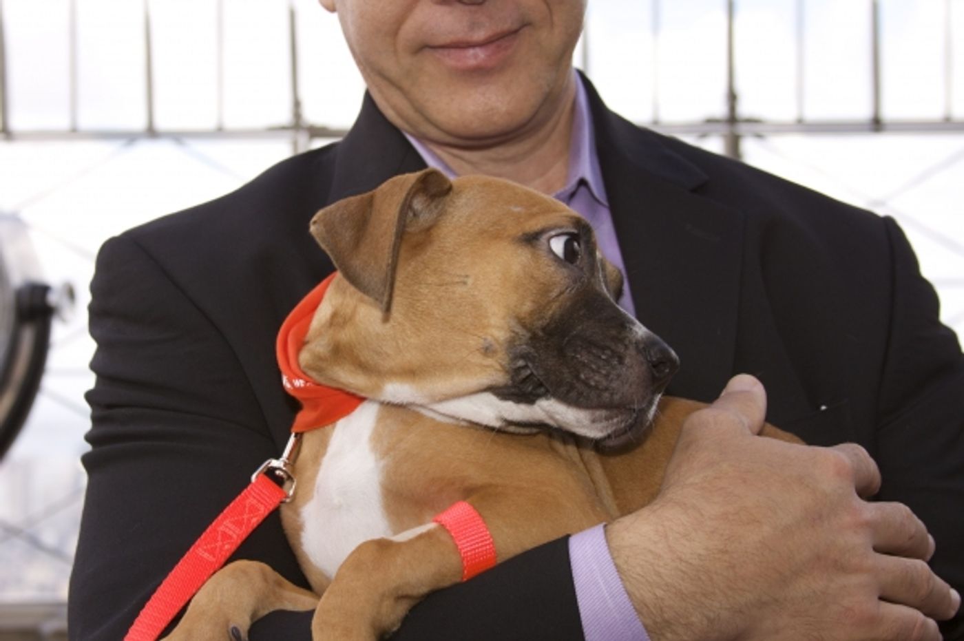 Photo Coverage: Peters Promotes Broadway Barks Adopt-A-Thon  Image