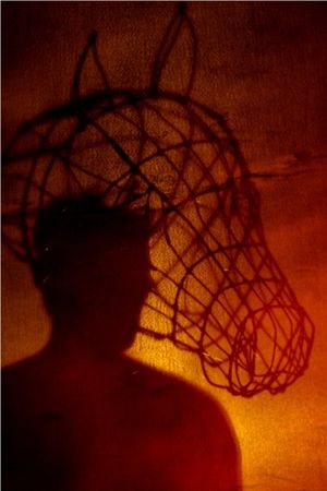 James Stacey Photo