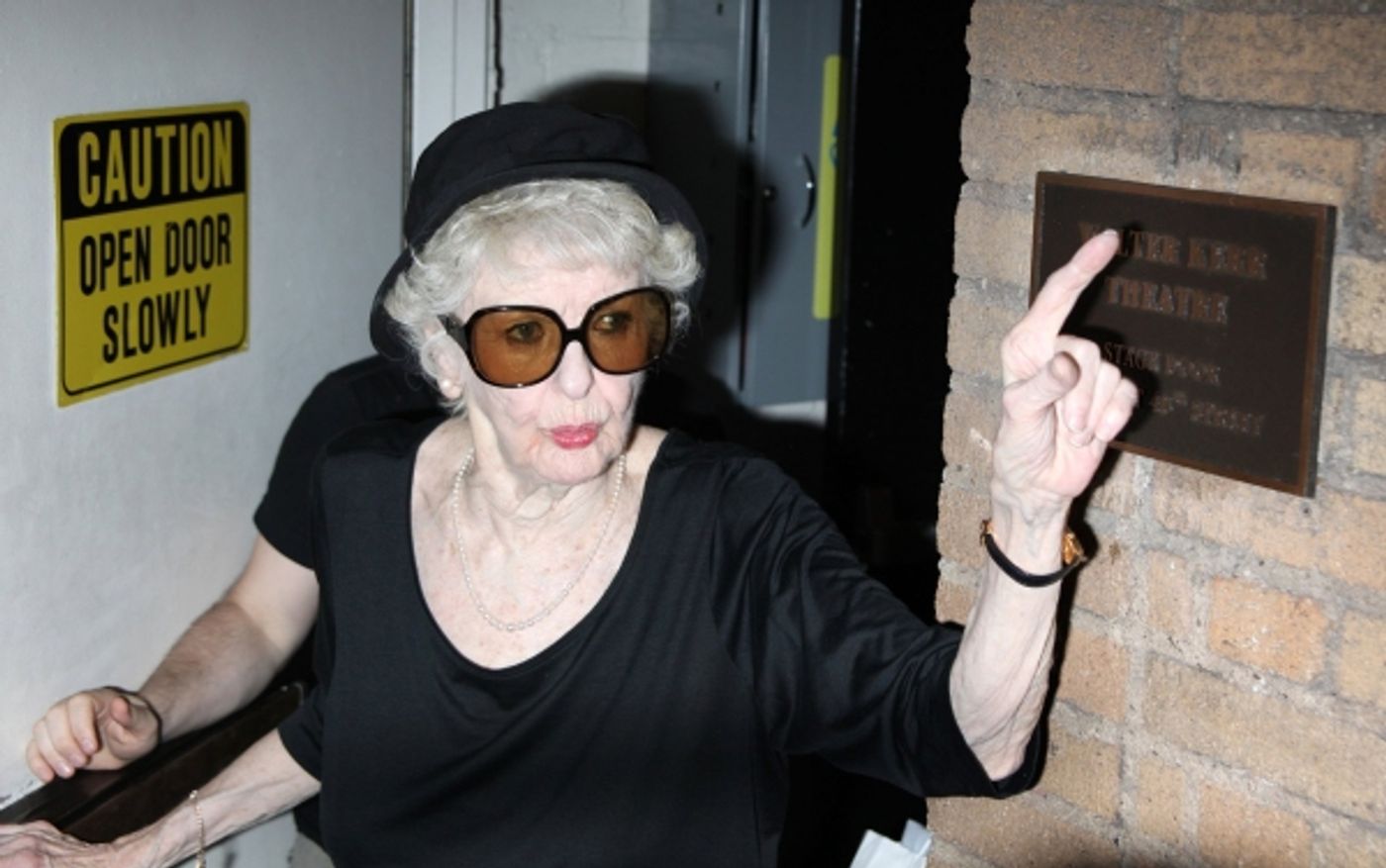 Photo Coverage: Peters & Stritch Greet Fans at NIGHT MUSIC Stage Door  Image