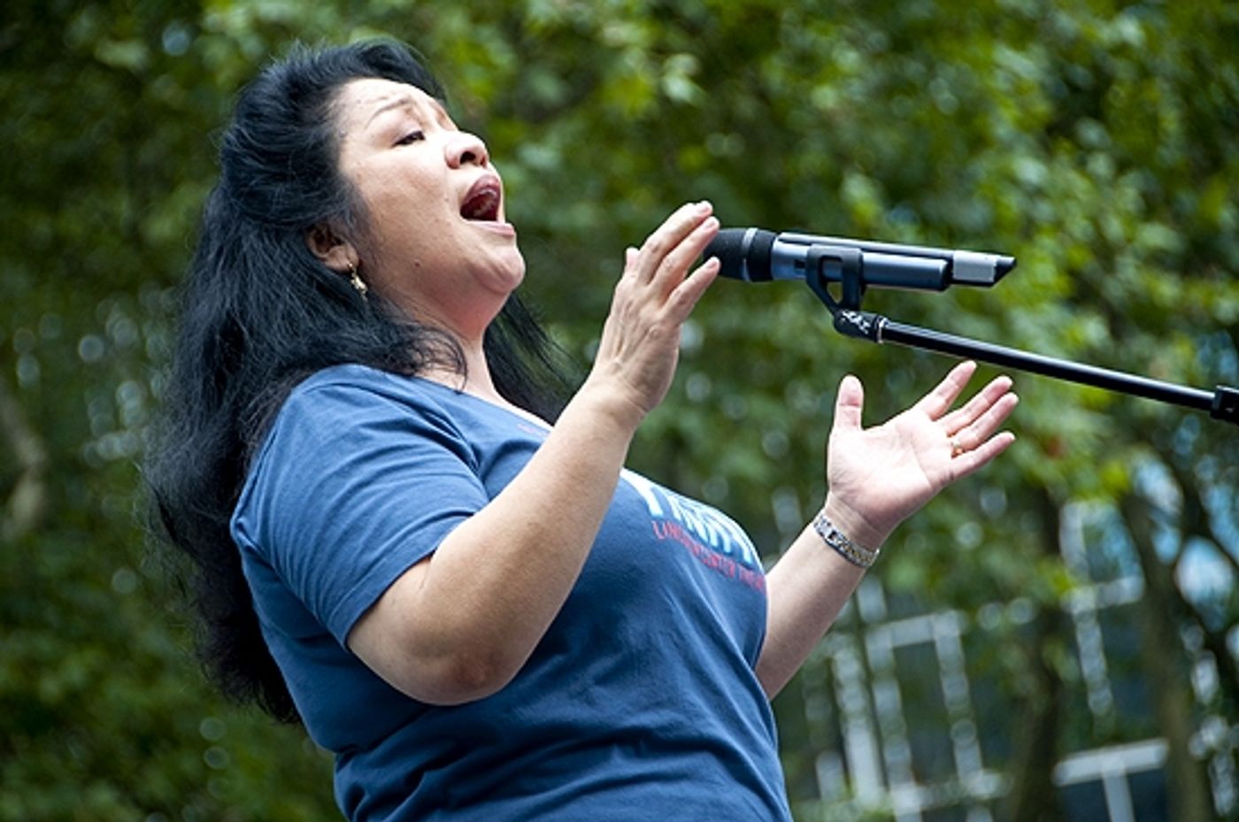 Photo Coverage: MEMPHIS, ELLIOT, PACIFIC and More Play Broadway in Bryant Park, July 15 Photo Coverage: MEMPHIS, ELLIOT, PACIFIC and More Play Broadway in Bryant Park, July 15 Image