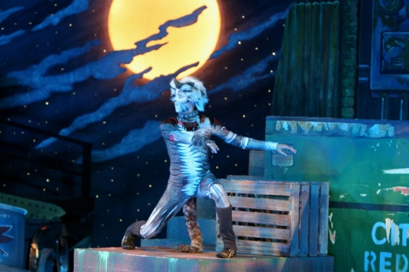 Photo Flash: The Muny Presents CATS  Image