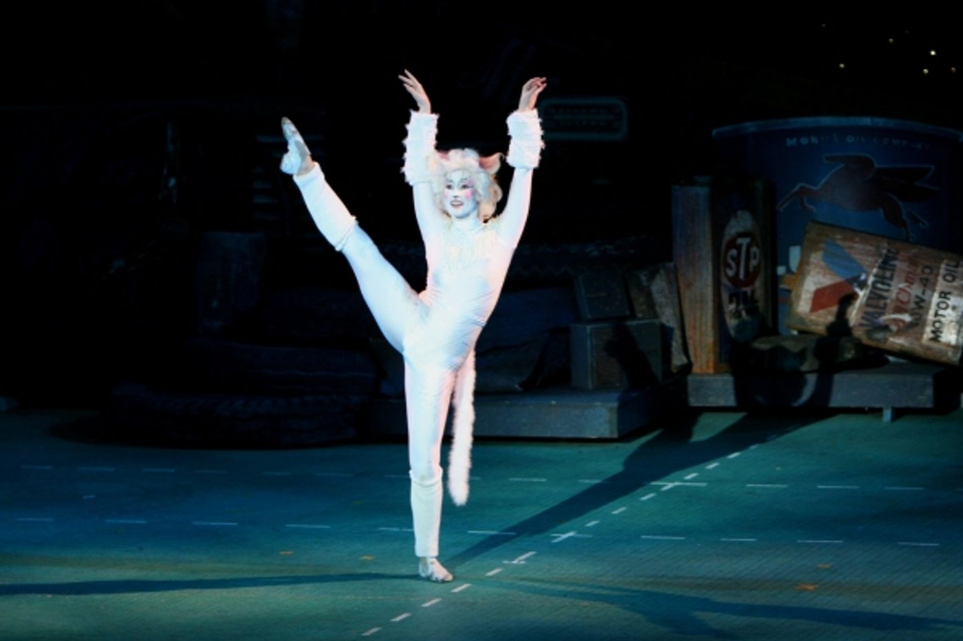 Photo Flash: The Muny Presents CATS  Image