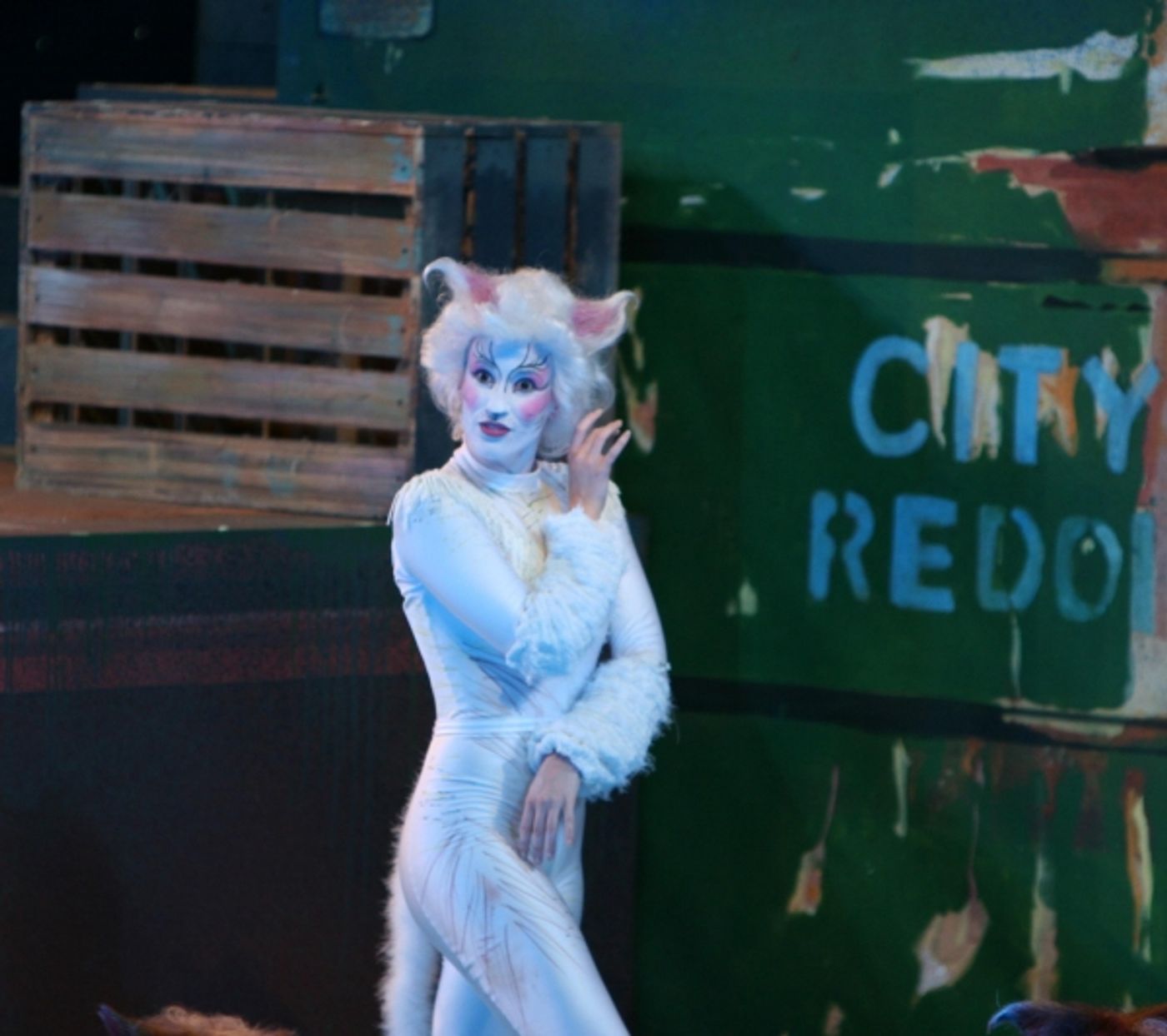 Photo Flash: The Muny Presents CATS  Image