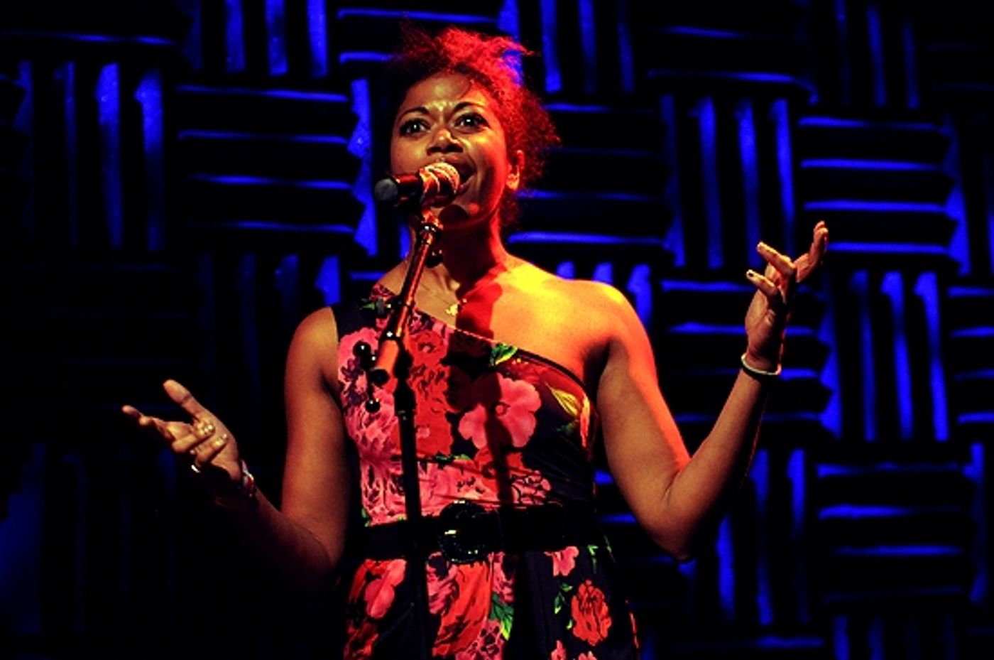 Photo Coverage: IDIOT Plays Joe's Pub for Bway Impact  Image