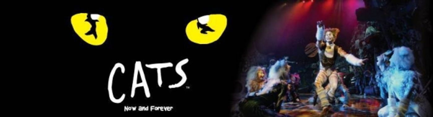 Photo Flash: CATS Manila Official Production Shots - First Look!  Image