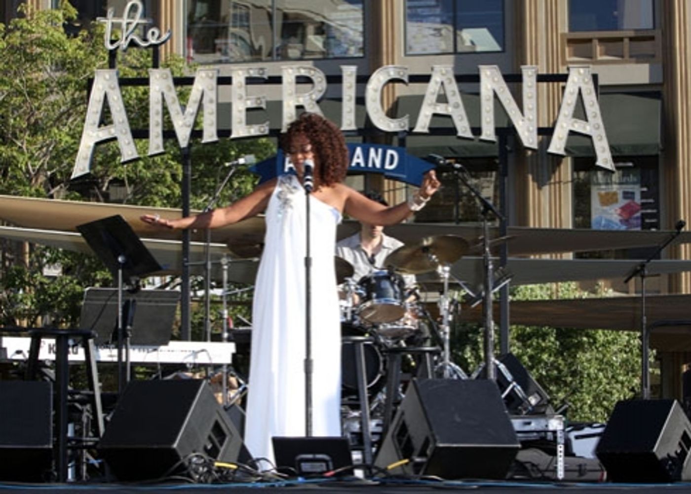 Photo Coverage:  Steve Tyrell & Jennifer Leigh Warren kick off Summer Concert Series  Image