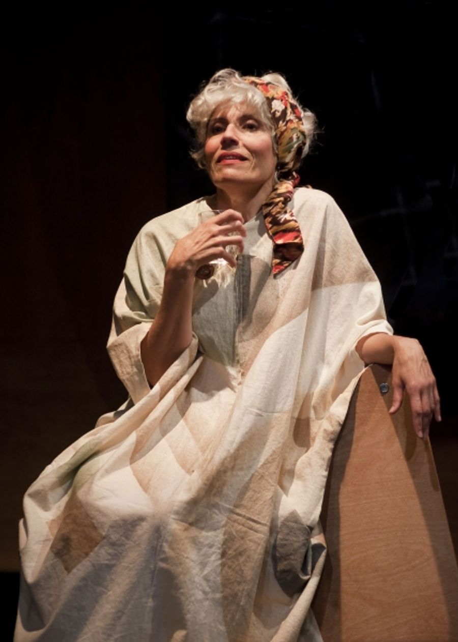 Photo Flash: Performance Network Presents WOMAN BEFORE A GLASS 8/21-9/4 Image