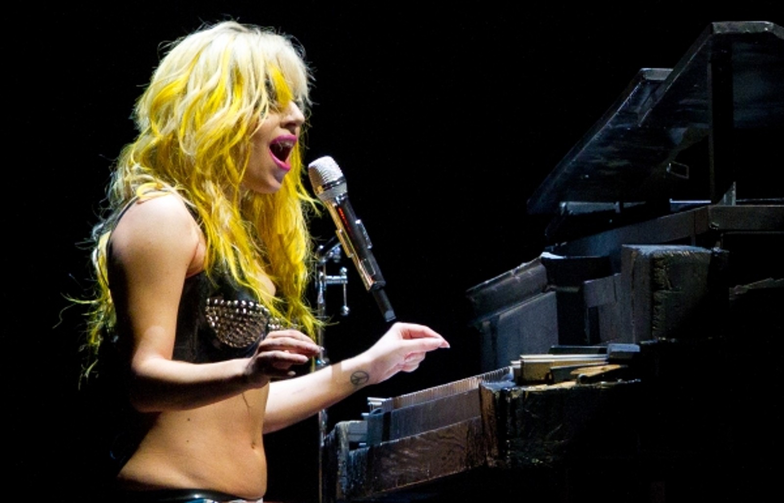 Photo Coverage: Lady Gaga Performs at the MGM Grand — photo 3 of 6