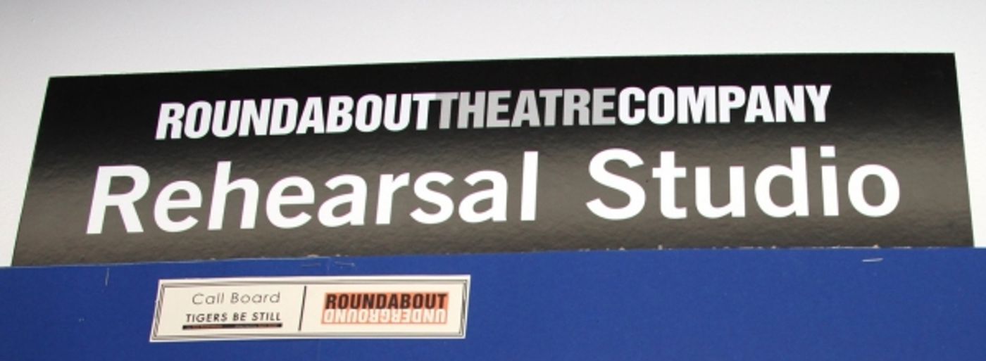 Photo Coverage: Roundabout's TIGERS BE STILL Meets the Press  Image