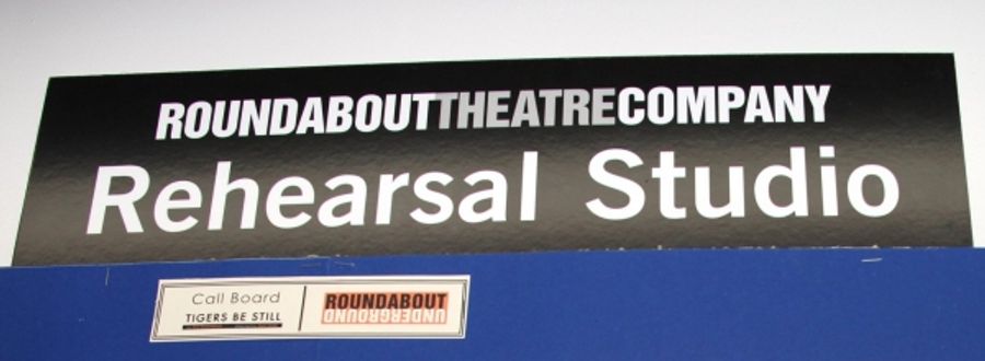 Photo Coverage: Roundabout's TIGERS BE STILL Meets the Press Image