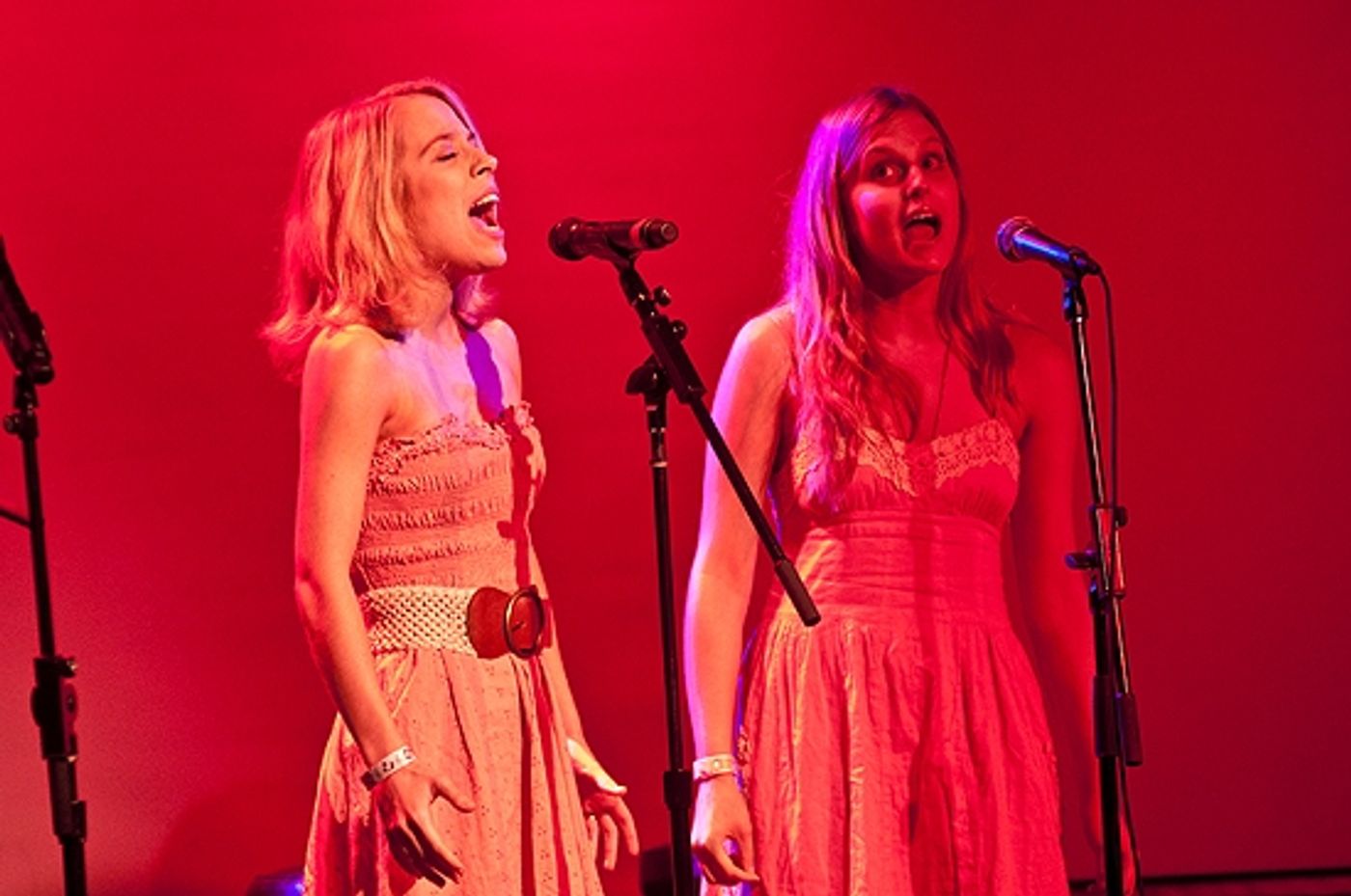 Photo Coverage: 'If It Only Even Runs a Minute 3' at Le Poisson Rouge  Image