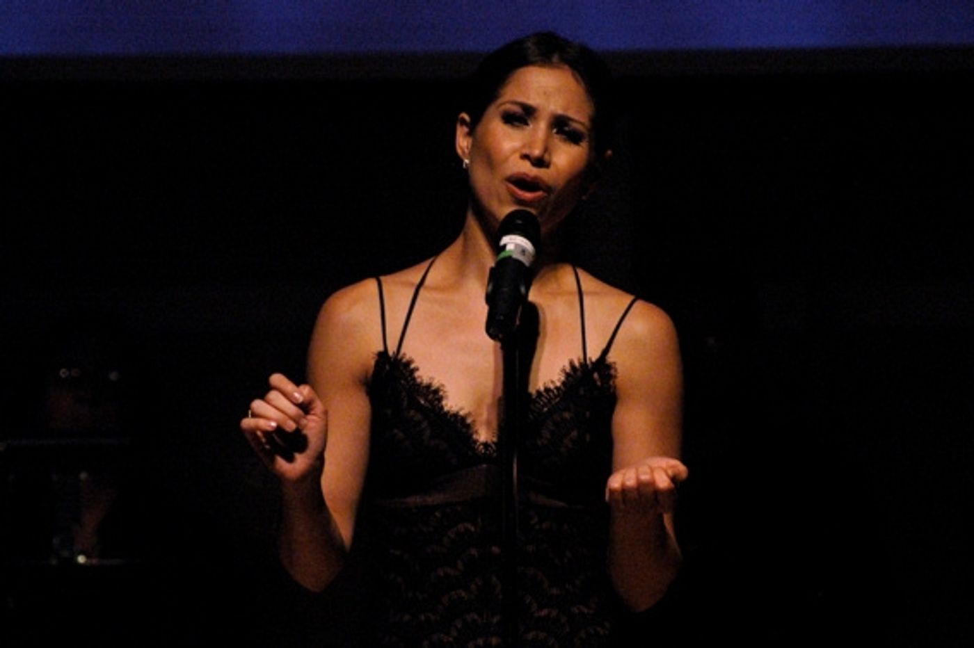 Photo Coverage: 'To Mexico From New York With Love' Hurricane Alex Benefit Concert  Image