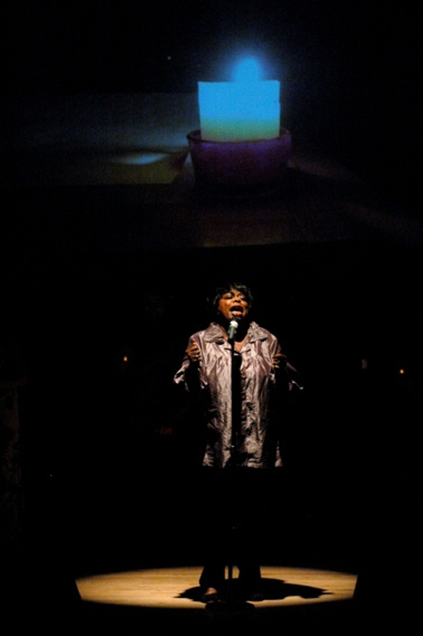 Photo Coverage: 'To Mexico From New York With Love' Hurricane Alex Benefit Concert  Image