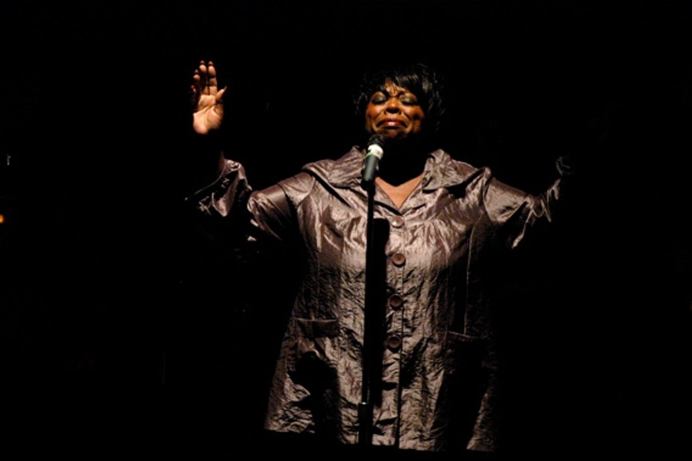 Photo Coverage: 'To Mexico From New York With Love' Hurricane Alex Benefit Concert  Image