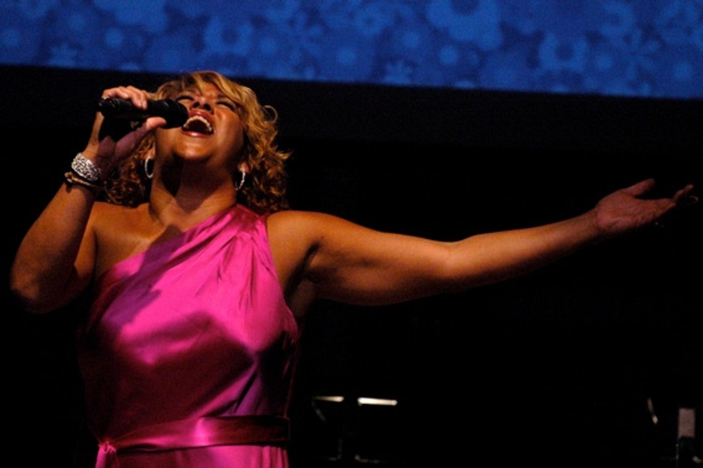 Photo Coverage: 'To Mexico From New York With Love' Hurricane Alex Benefit Concert  Image