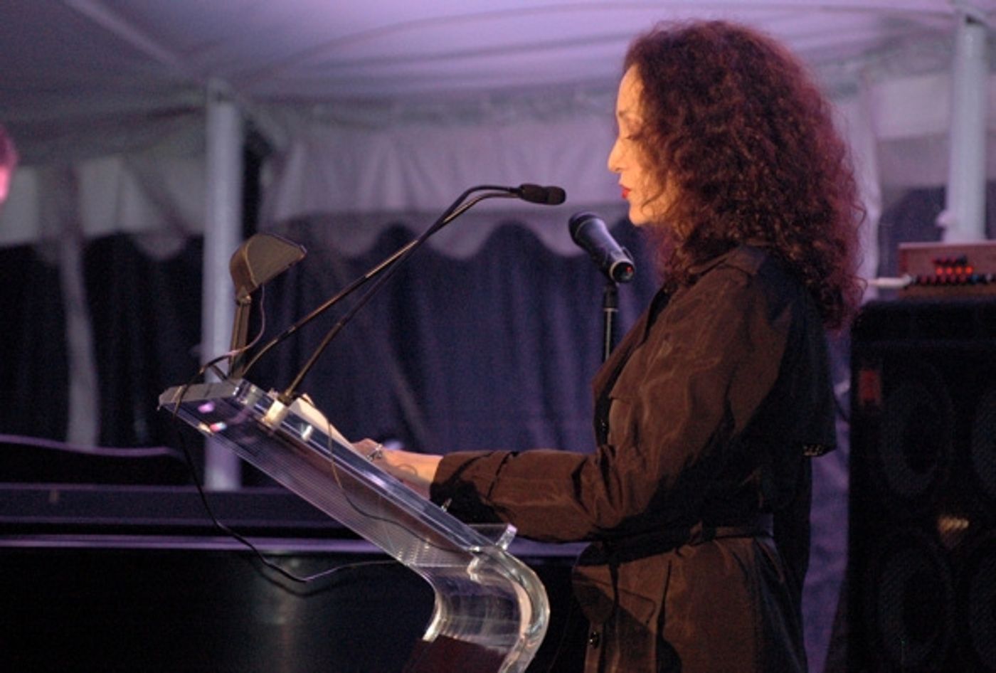 Photo Coverage: Actors Fund Honors Friends of Lillian Booth Home  Image