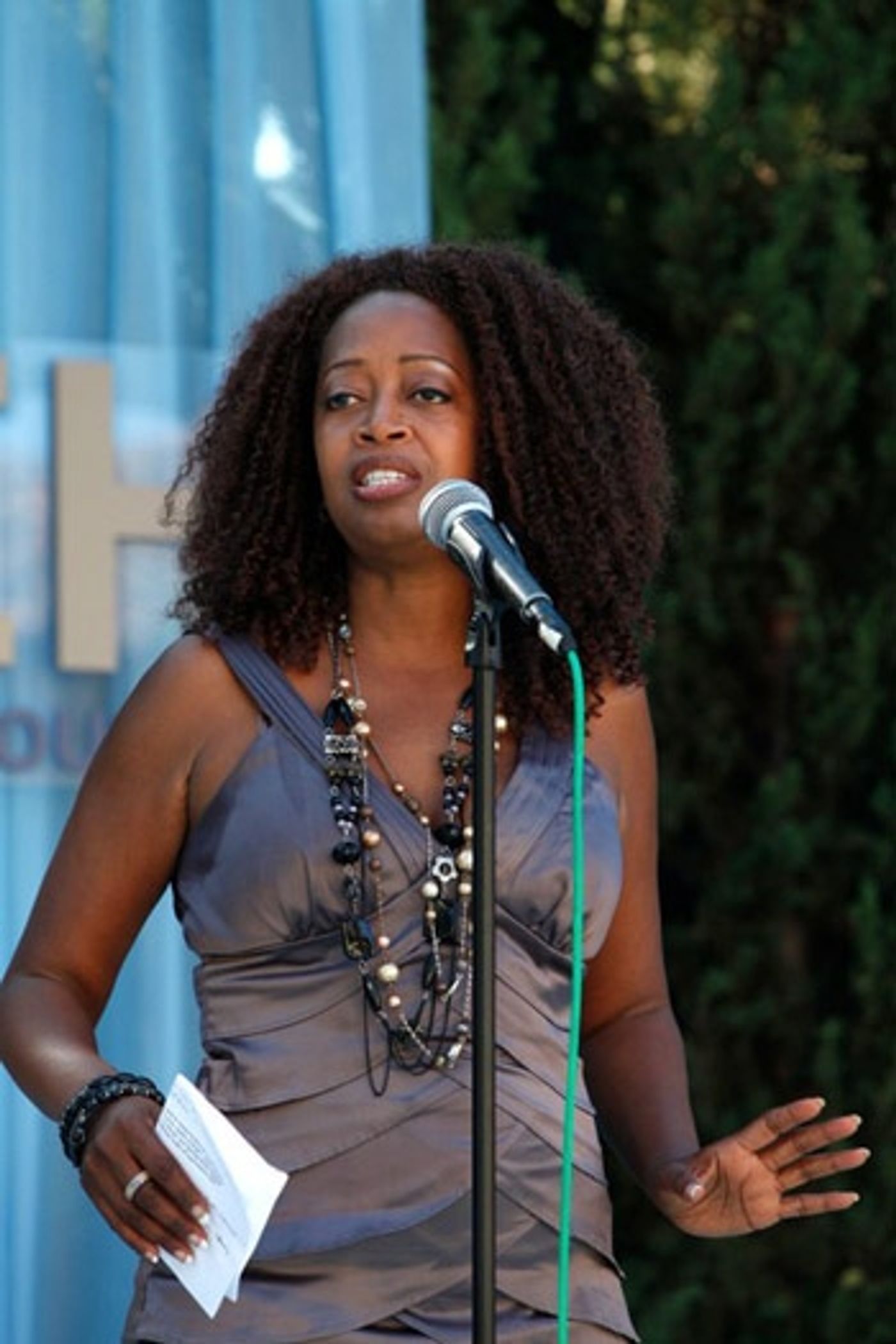 Photo Coverage: 9th annual GLEH Garden Party honoring Adam Shankman and Rona Barrett Photo Coverage: 9th annual GLEH Garden Party honoring Adam Shankman and Rona Barrett Image