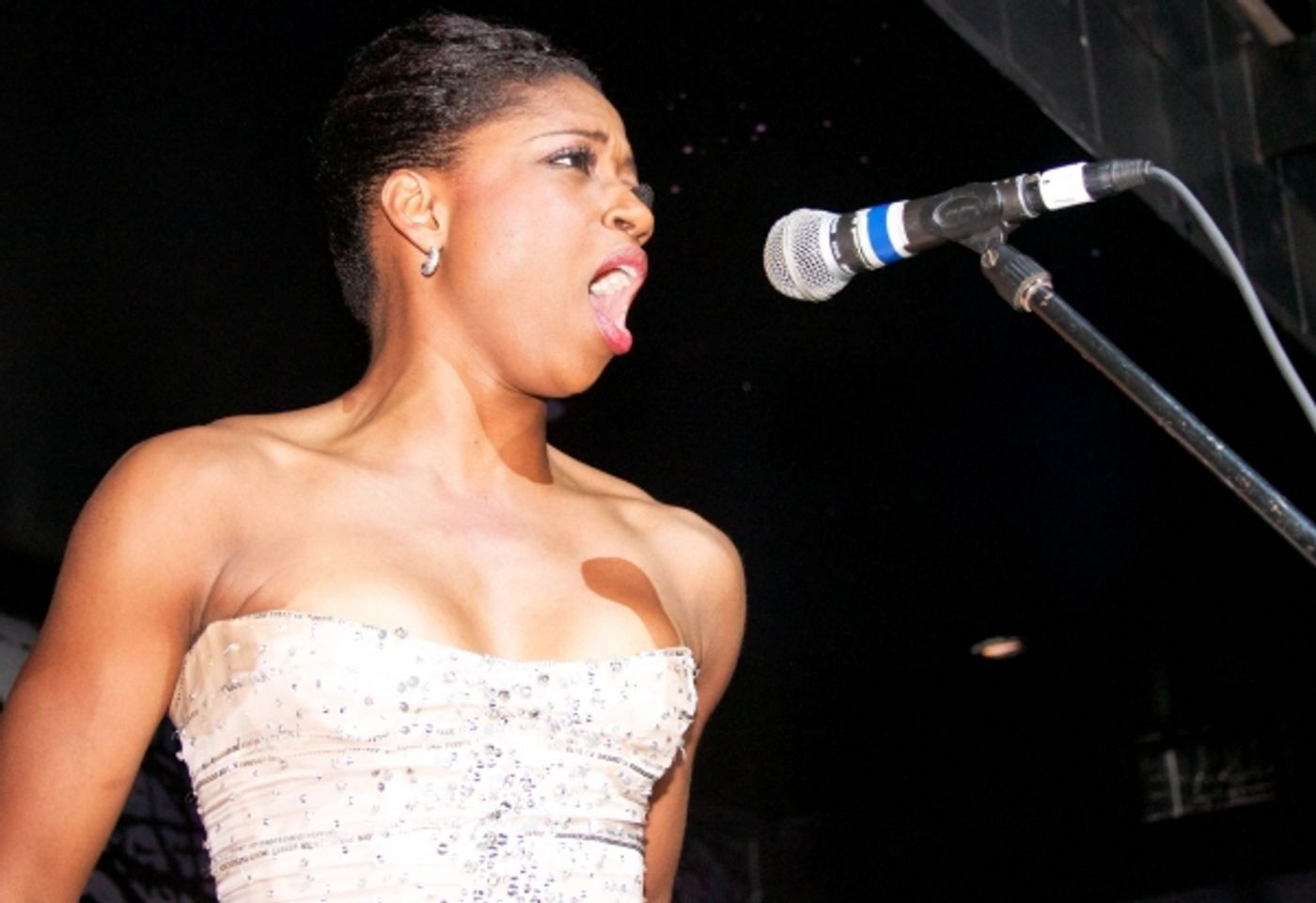 Photo Coverage: Broadway Takes The Runway Benefit!  Image