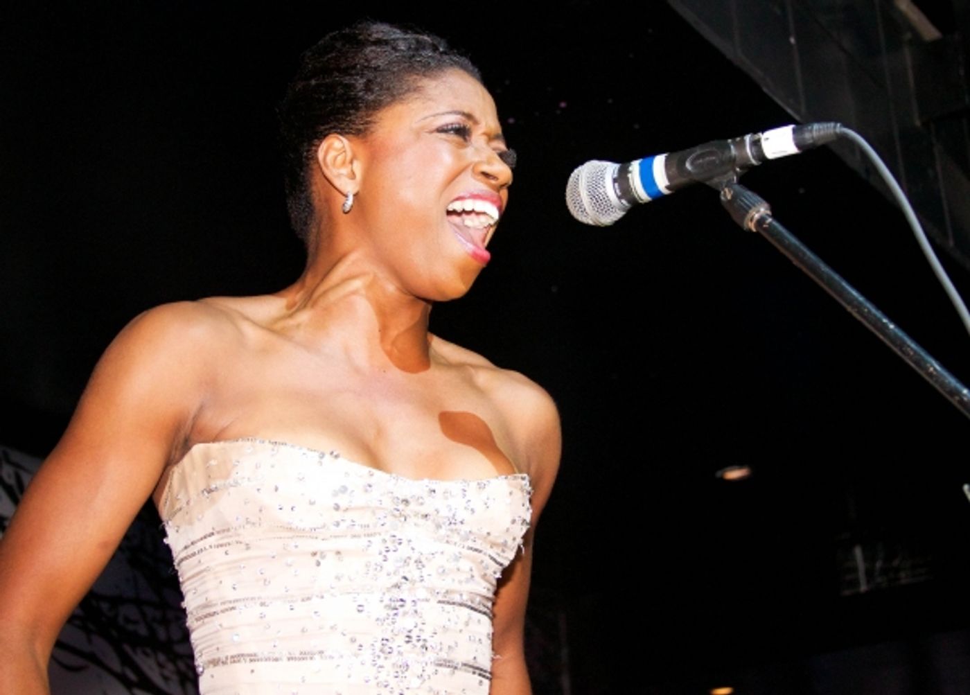 Photo Coverage: Broadway Takes The Runway Benefit!  Image