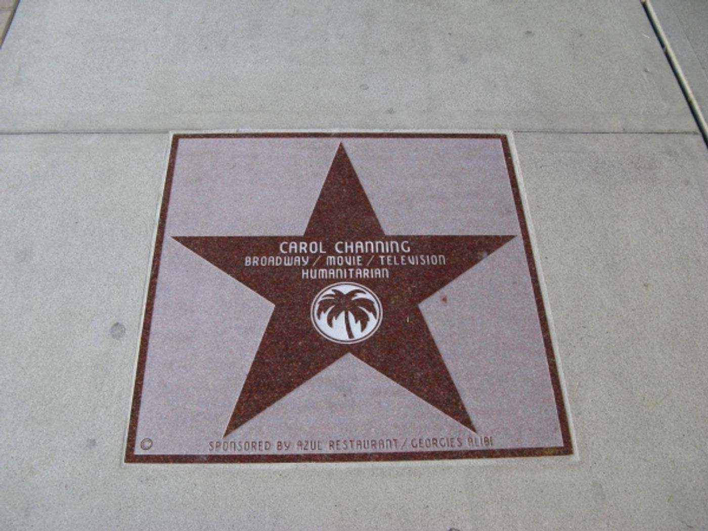 Photo Flash: Carol Channing Receives Star on Palm Springs Walk of Stars  Image