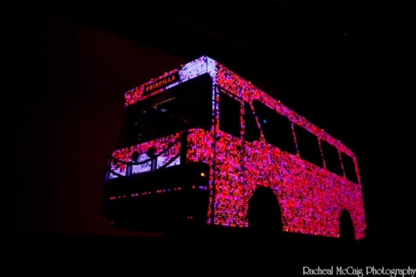 Photo Coverage: PRISCILLA Meets the Press!  Image