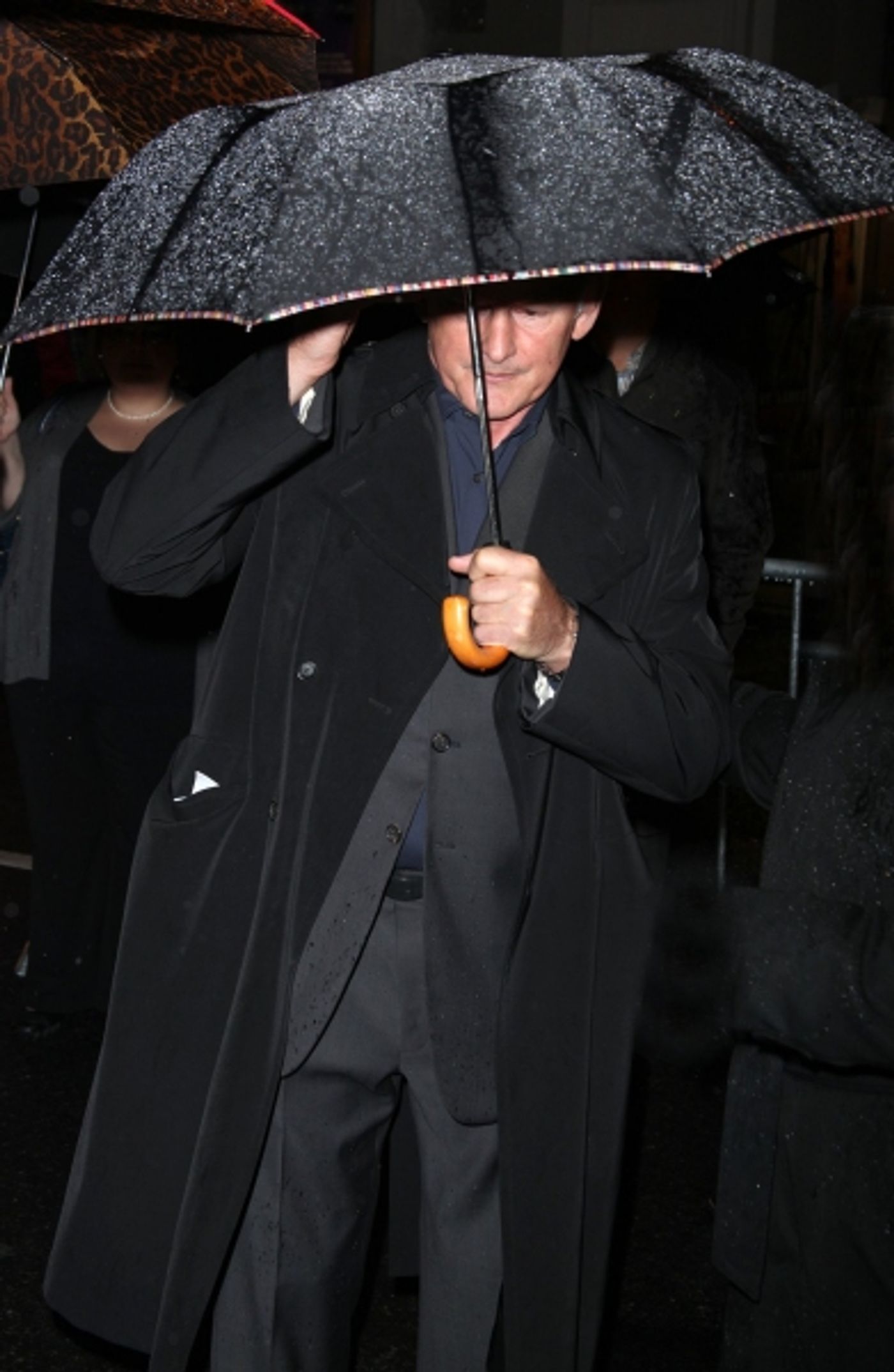 Photo Coverage: LA BETE Opening Night Arrivals  Image