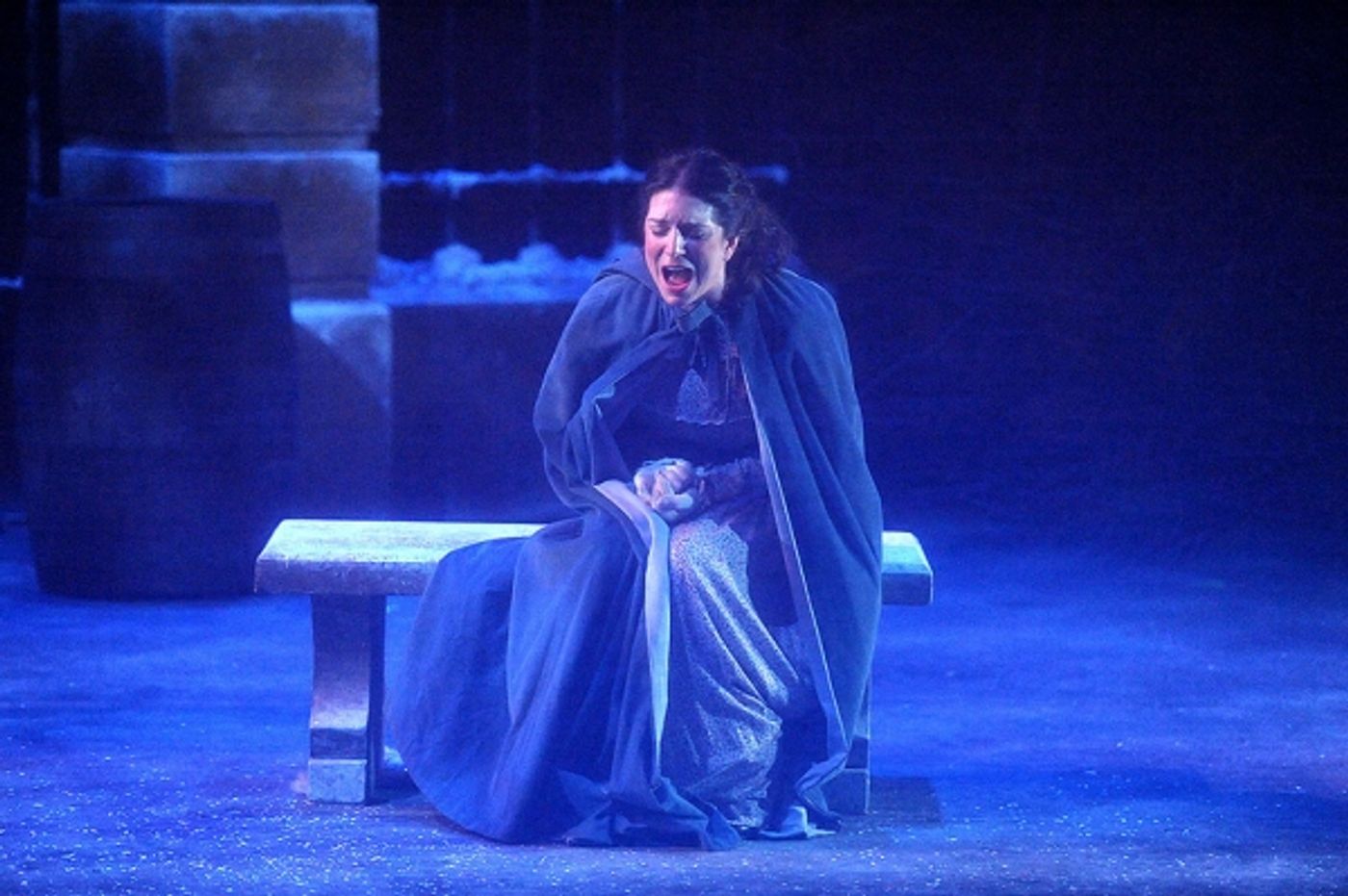 Photo Flash: La bohème Opens at Dicapo Opera Theatre Photo Flash: La bohème Opens at Dicapo Opera Theatre Image