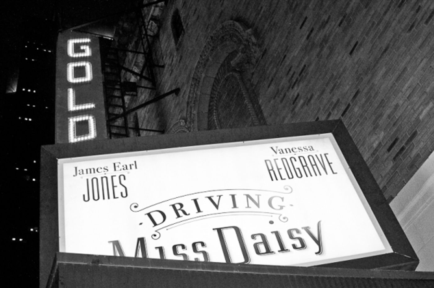 Photo Coverage: DAISY Red Carpet! Photo Coverage: DAISY Red Carpet! Image