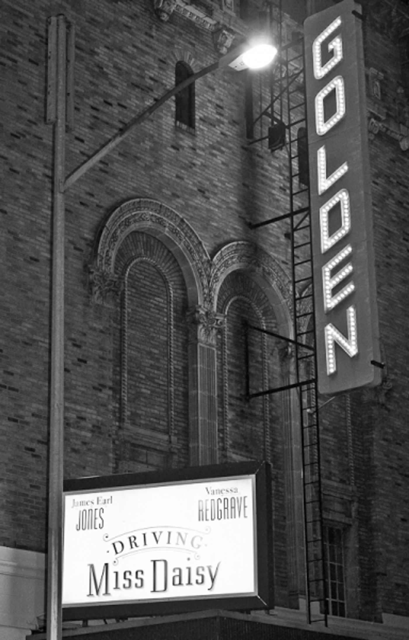 Photo Coverage: DAISY Red Carpet! Photo Coverage: DAISY Red Carpet! Image