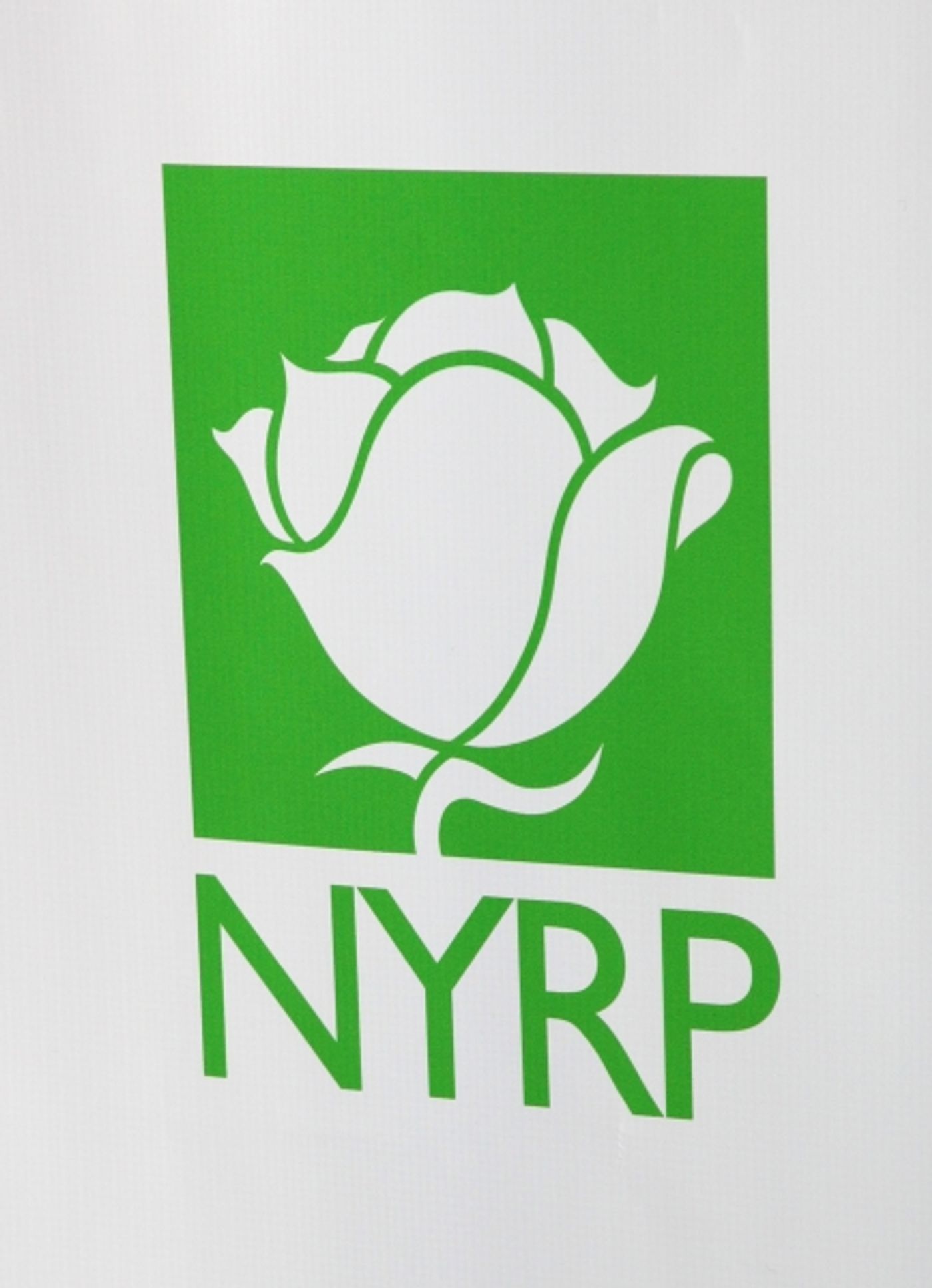 Photo Coverage: 15th Annual Hulaween Benefit Gala  Image