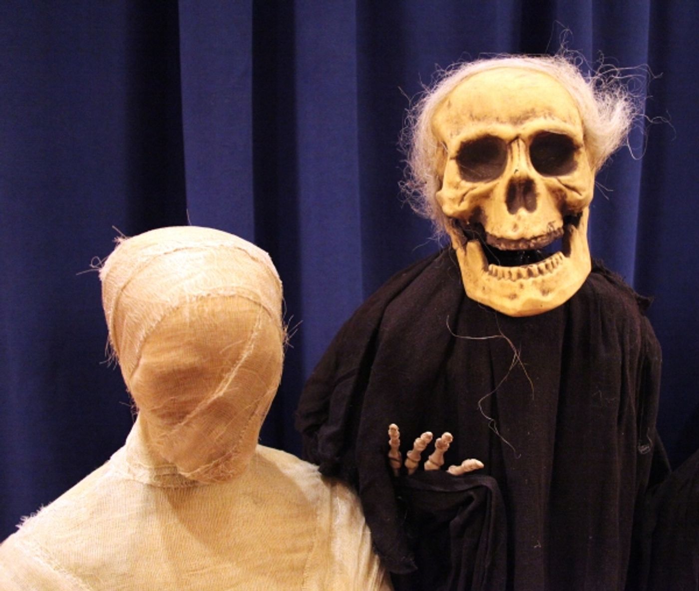 Photo Coverage: 15th Annual Hulaween Benefit Gala  Image