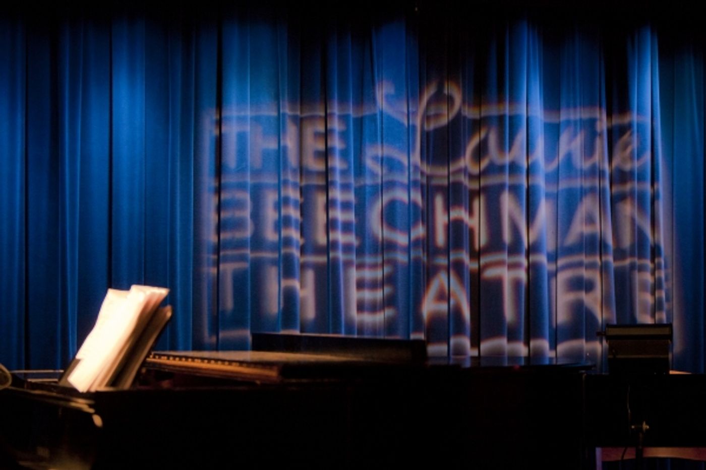 Photo Coverage: Lerman Makes New York Concert Debut at the Beachman  Image