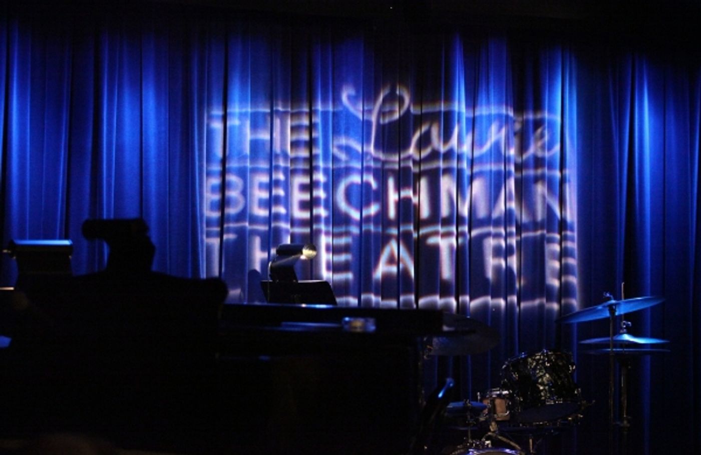 Photo Coverage: Donna McKechnie 'My Musical Comedy Life'  Image