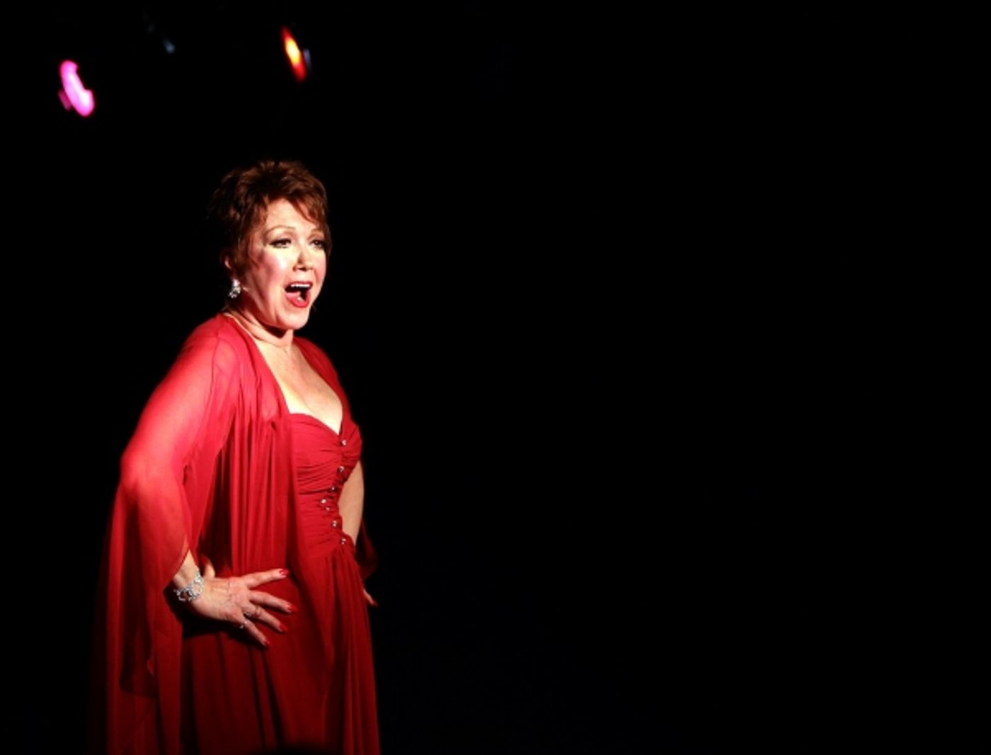 Photo Coverage: Donna McKechnie 'My Musical Comedy Life'  Image