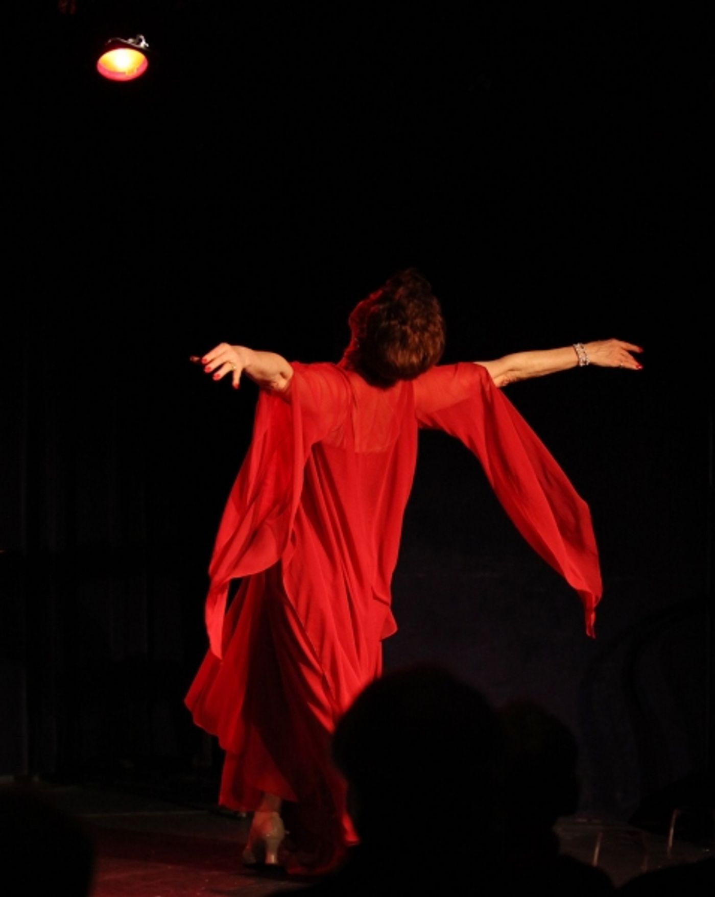 Photo Coverage: Donna McKechnie 'My Musical Comedy Life'  Image