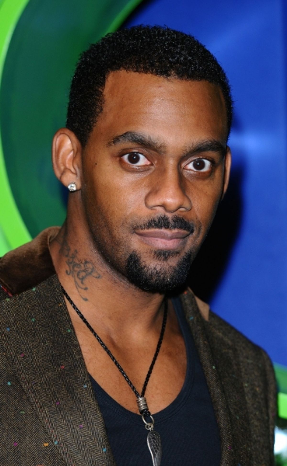 Richard Blackwood as Donkey at 