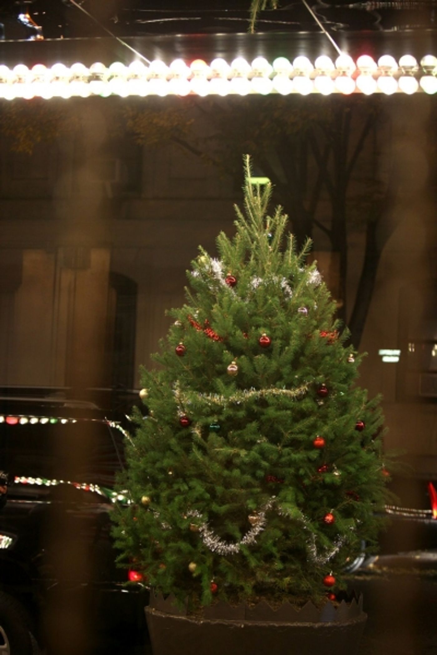 Photo Coverage: ELF Opening Night Red Carpet  Image